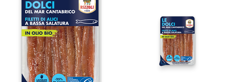 Cantabrian Sea anchovy fresh fillets